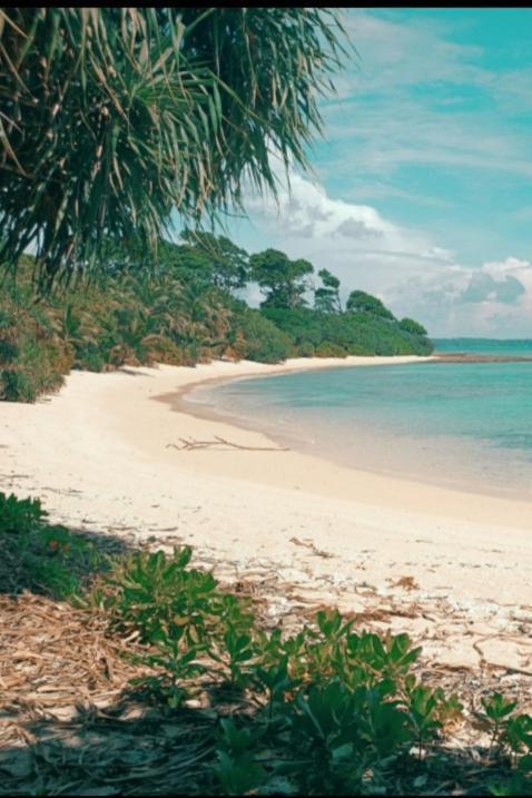 Hotel Mallick Palace Neil Island South Andaman Ram Nagar Zewnętrze zdjęcie