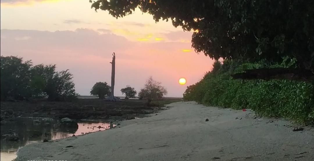 Hotel Mallick Palace Neil Island South Andaman Ram Nagar Zewnętrze zdjęcie