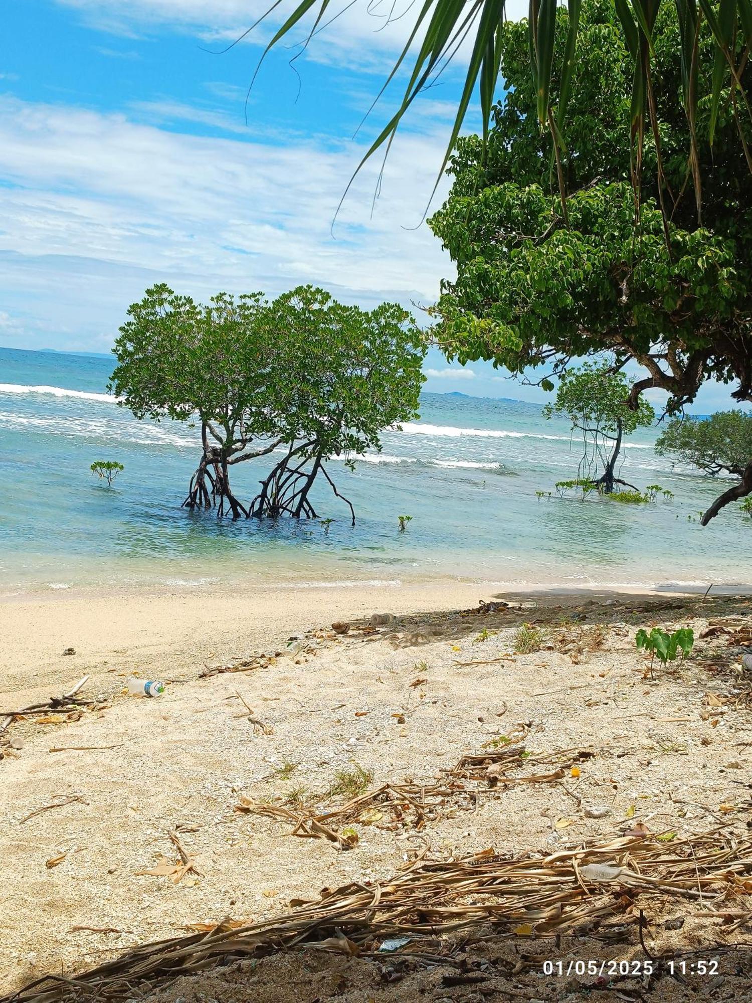 Hotel Mallick Palace Neil Island South Andaman Ram Nagar Zewnętrze zdjęcie